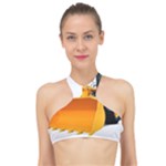 937h 1 955n 2 955n 1 932 1 High Neck Bikini Top