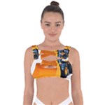 937h 1 955n 2 955n 1 932 1 Bandaged Up Bikini Top