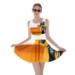 Skater Dress 