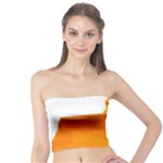 937h 1 955n 2 955n 1 932 1 Tube Top