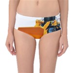 937h 1 955n 2 955n 1 932 1 Mid-Waist Bikini Bottoms
