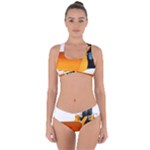 937h 1 955n 2 955n 1 932 1 Criss Cross Bikini Set
