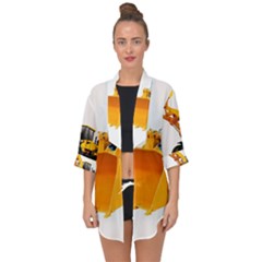 Open Front Chiffon Kimono 