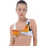 937h 1 955n 2 955n 1 932 1 Ring Detail Bikini Top