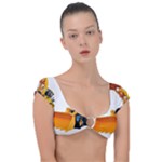 937h 1 955n 2 955n 1 932 1 Cap Sleeve Ring Bikini Top