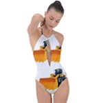 937h 1 955n 2 955n 1 932 1 Plunge Cut Halter Swimsuit