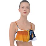 937h 1 955n 2 955n 1 932 1 Frill Bikini Top