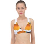 937h 1 955n 2 955n 1 932 1 Classic Banded Bikini Top