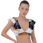 937h 1 955n 2 955n 1 932 1 Plunge Frill Sleeve Bikini Top