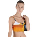 937h 1 955n 2 955n 1 932 1 Layered Top Bikini Top 