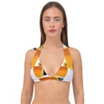 937h 1 955n 2 955n 1 932 1 Double Strap Halter Bikini Top