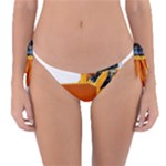 937h 1 955n 2 955n 1 932 1 Reversible Bikini Bottom