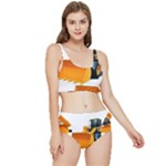 937h 1 955n 2 955n 1 932 1 Frilly Bikini Set