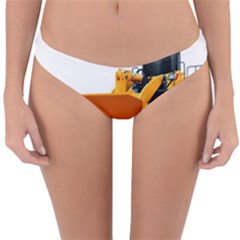 Reversible Hipster Bikini Bottoms 