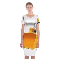 Classic Short Sleeve Midi Dress Front Classic Short Sleeve Midi Dress Front