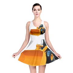 Reversible Skater Dress 