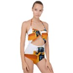937h 1 955n 2 955n 1 932 1 Scallop Top Cut Out Swimsuit