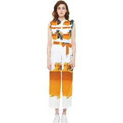 Women s Frill Top Chiffon Jumpsuit 