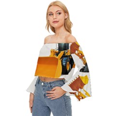 Off Shoulder Flutter Bell Sleeve Top 