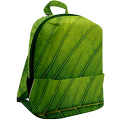 Zip Up Backpack 