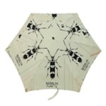 Img016 Mini Folding Umbrellas