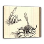 bees Canvas 20  x 16  (Stretched)