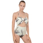 bees Scallop Top Cut Out Swimsuit