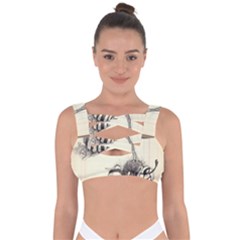 Bandaged Up Bikini Top 