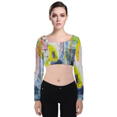 Velvet Long Sleeve Crop Top 