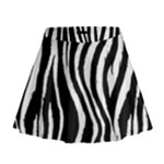 Zebra Mini Flare Skirt