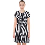 Zebra Adorable in Chiffon Dress