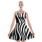 Zebra Velvet Skater Dress