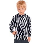 Zebra Kids  Hooded Pullover