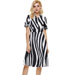 Zebra Button Top Knee Length Dress