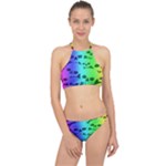 Rainbow Skull Collection Racer Front Bikini Set