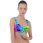 Rainbow Skull Collection Front Tie Bikini Top