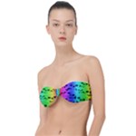 Rainbow Skull Collection Classic Bandeau Bikini Top 