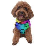 Rainbow Skull Collection Dog Sweater