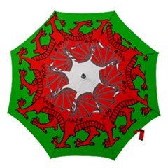 Hook Handle Umbrella (Large) 