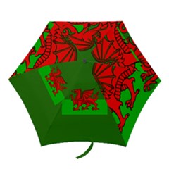 Mini Folding Umbrella 