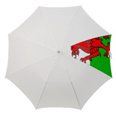Straight Umbrella 