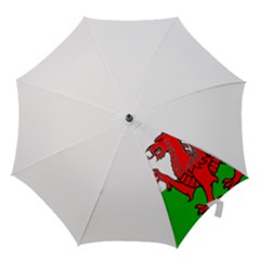 Hook Handle Umbrella (Small) 