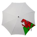 11949837511078624815cymru_flag_wales_michae_.svg.hi Hook Handle Umbrella (Small)