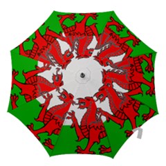 Hook Handle Umbrella (Large) 