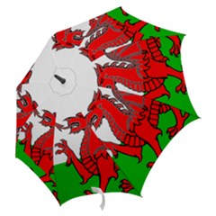 Hook Handle Umbrella (Large) 