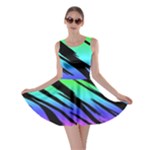 Rainbow Tiger Skater Dress