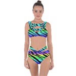 Rainbow Tiger Bandaged Up Bikini Set 