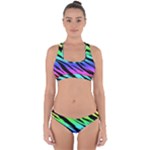 Rainbow Tiger Cross Back Hipster Bikini Set