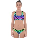 Rainbow Tiger Cross Back Hipster Bikini Set