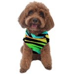Rainbow Tiger Dog Sweater
